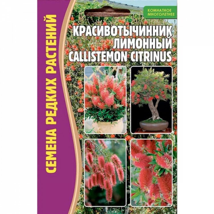 Семена Красивотычинника лимонного (Callistemon citrinus) (01 г)