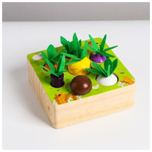 фото Развивающий набор «вытащи овощи и грибы» 15×15×11 см mikimarket