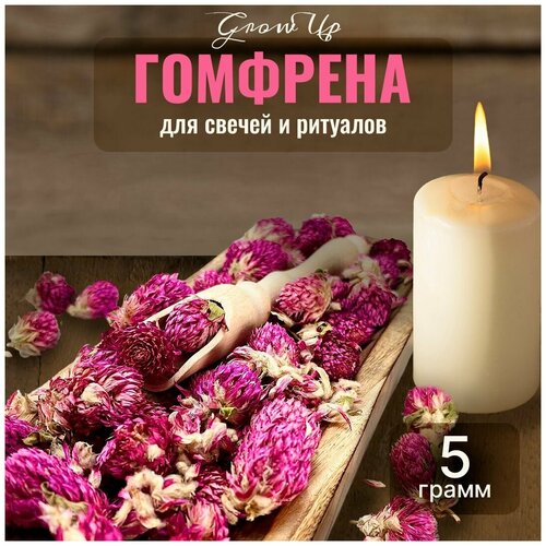 Сухая трава Гомфрена (цветы) для свечей и ритуалов, 5 гр сухая трава лаванда цветы для свечей и ритуалов 5 гр