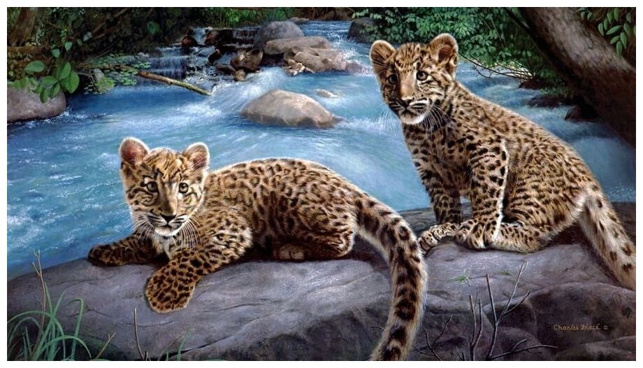Алмазная мозаика 40x50 "Леопарды у воды" 7D на подрамнике, Картина стразами