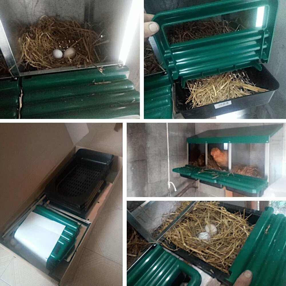 Гнездо для кур несушек 4 секции с яйцесборником - фотография № 2