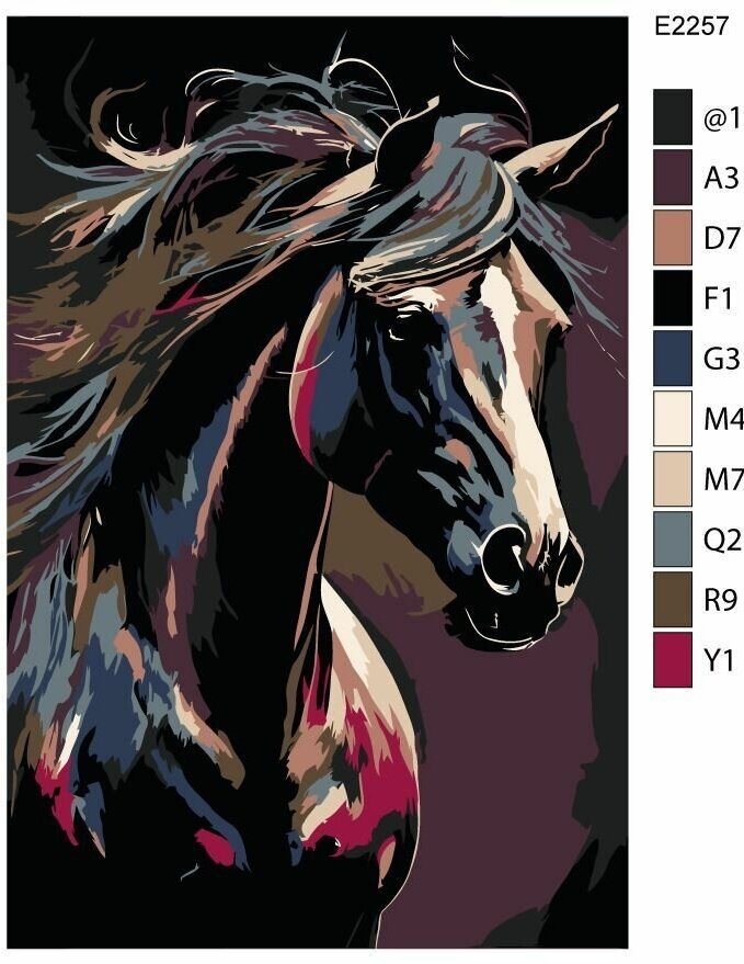 Детская картина по номерам E2257 "Красивая лошадь с развивающейся гривой" 20x30