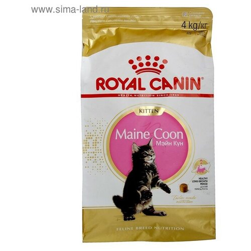 Сухой корм RC Kitten Maine Coon для котят крупных пород, 4 кг