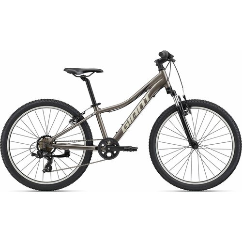 Подростковый велосипед Giant XtC Jr 24 (2022) 24 Серый (130-150 см)