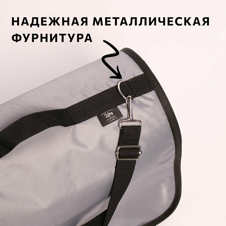 Lion Сумка-переноска для животных "Econom" LM6503 (43 х 29 х 27 см.) - фото №5