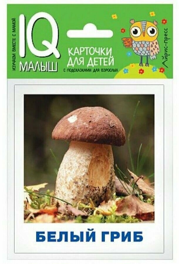 Грибы наших лесов Карточки для детей с подсказками для взрослых - фото №4