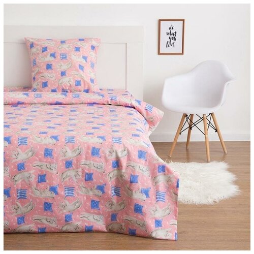 фото Постельное бельё 1,5 сп экономь и я котики 145х210, 150х210, 70х70 см-1 шт экономь и я 5007158 .