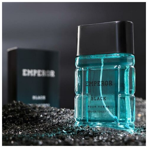 Туалетная вода мужская Emperor Black (Эмперор Блэк), 100 мл мужская парфюмерия dior higher