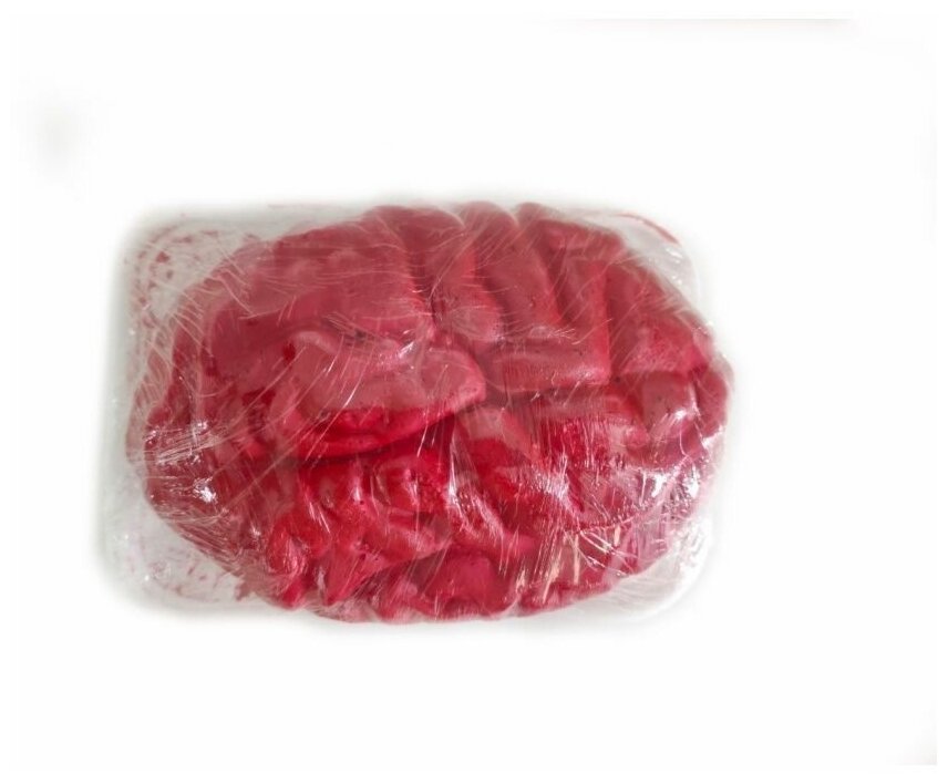 Мозги в лотке, 15*10*7 см — фото 1