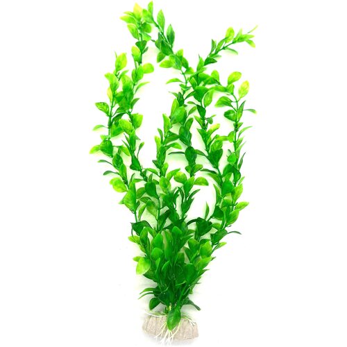 Растения, для Аквариумов и Террариумов 40 см растения для аквариума и террариумов 25 см