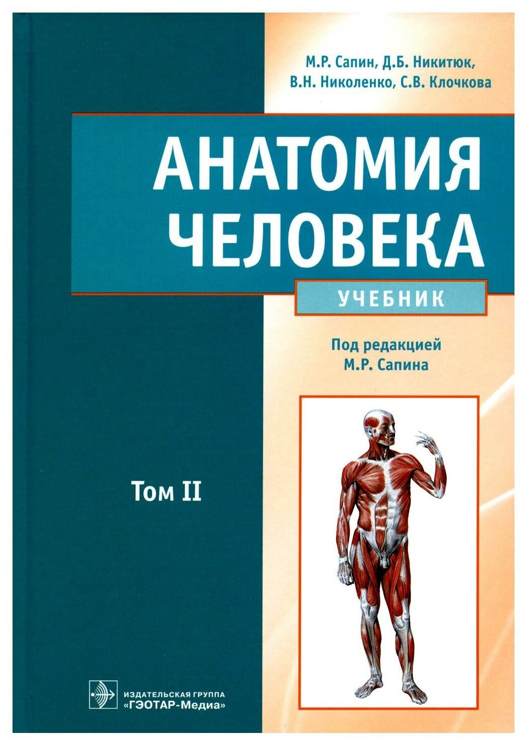 Анатомия человека: Учебник. В 2 т. Т. 2