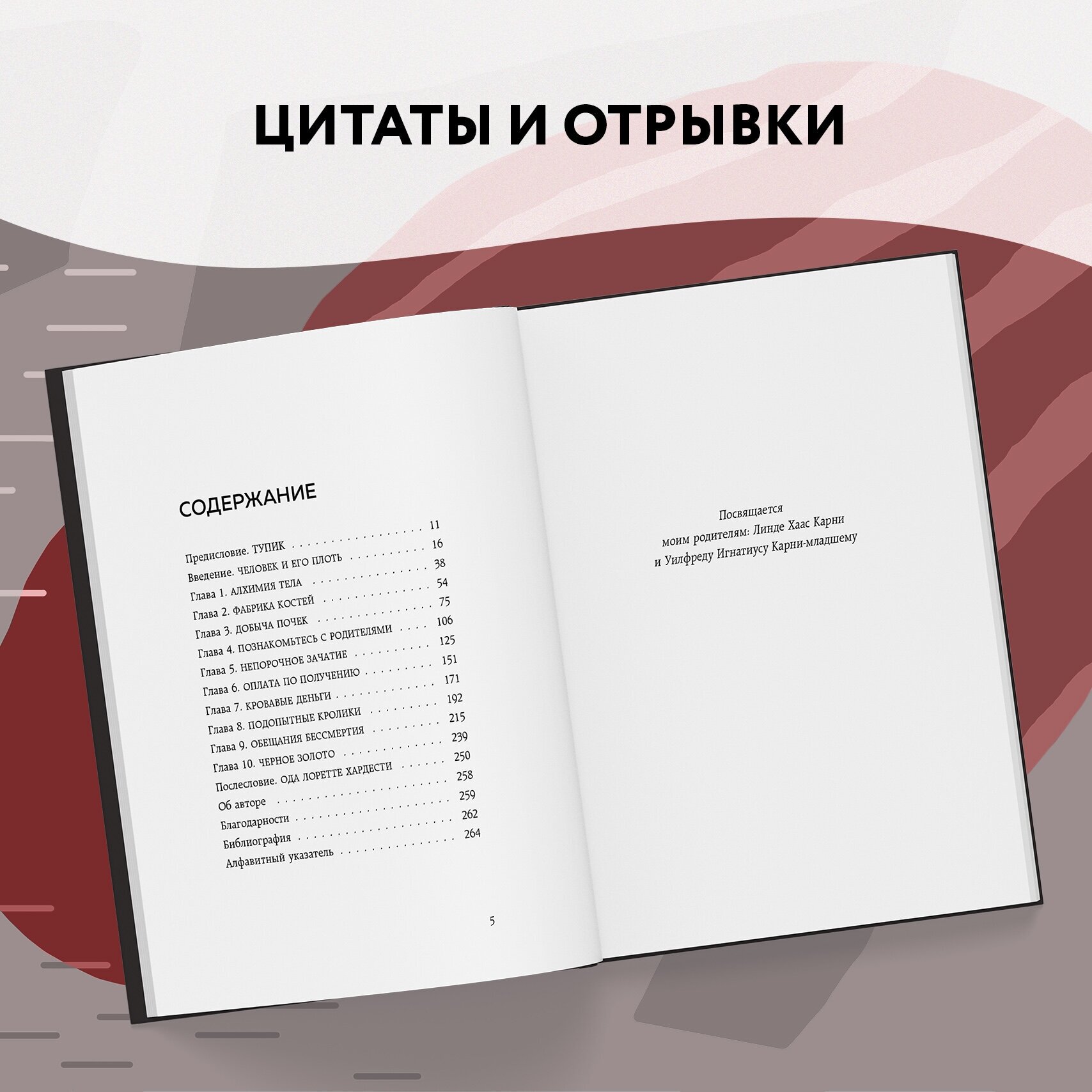 Красный рынок: как устроена торговля всем, из чего состоит человек - фото №10