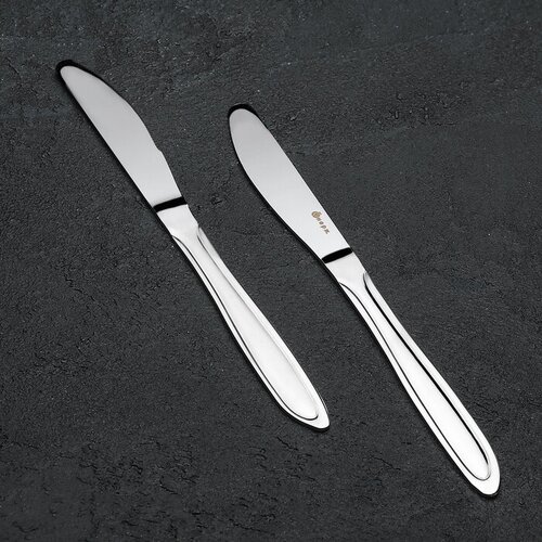 ПЗХМ Нож столовый «Вираж», h=20 см, цвет серебряный