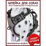 Шлейка для собак Mirestra прогулочная m28 - изображение