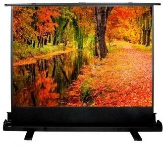 Экран напольный Cactus 113x200см FloorExpert CS-PSFLE-200X113