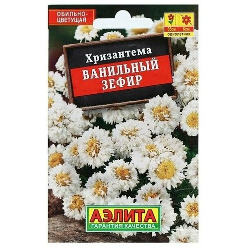 Семена Цветов Хризантема Ванильный зефир, 0,1 г 12 упаковок