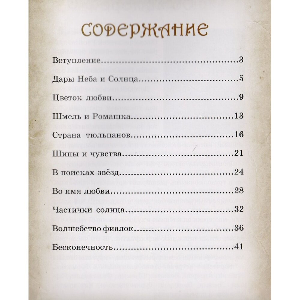 Дары Неба и Солнца (Гончарова Анна Сергеевна) - фото №8