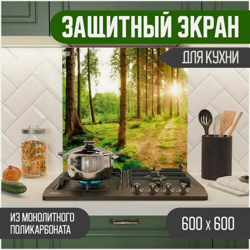 Изображение товара Фартук для кухни, Защитный экран из акрилового стекла (поликарбонат) на кухонный фартук в зону мойки и плиты с фотопечатью. Панель на стену с рисунком Пейзаж 600 х 600 х 3 мм, 600-026