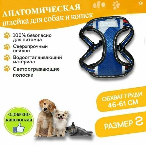 Шлейка для собак мелких пород и кошек Xing Ning анатомическая обхват груди S (46-61 см), с поводком 115 см светоотражающая синяя