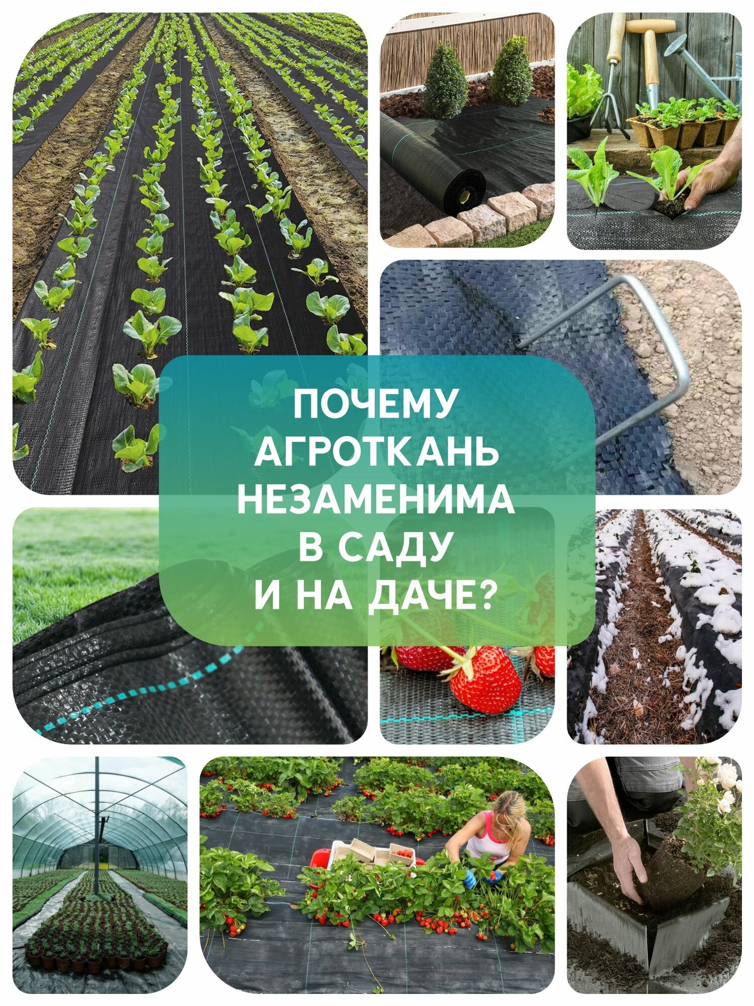Агроткань от сорняков застилочная для клубники 1,6х50 м, 100 г/м2 — фото 1