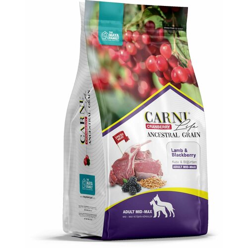 CARNI LIFE 2,5 кг Medium Maxi для собак средних и крупных пород ягненок с ежевикой и клюквой