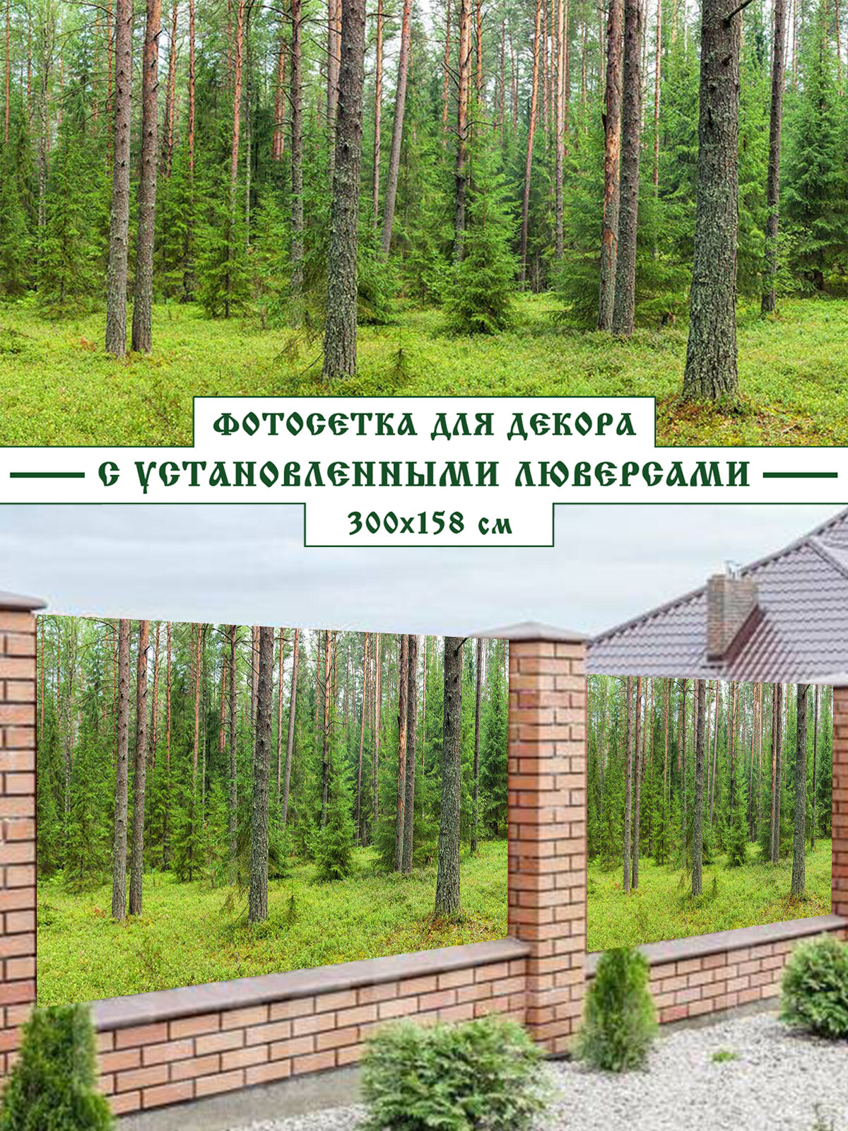 Фотосетка Мечта 300x158 см, "Хвойный лес"