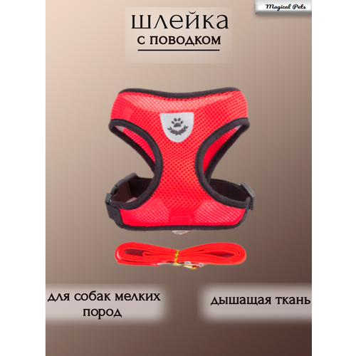 Шлейка для собак