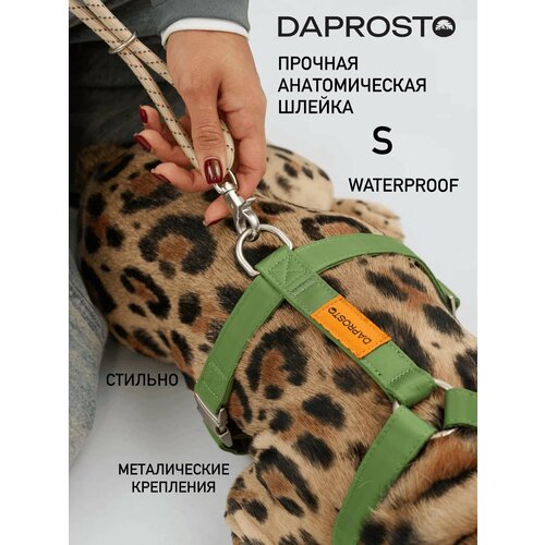 Дизайнерская шлейка прогулочная waterproof DAPROSTO "Green Joy", нейлон, для маленьких собак, размер S