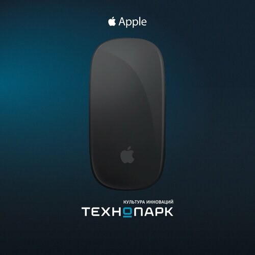Мышь Magic Mouse Multi-Touch Surface Black 11880₽