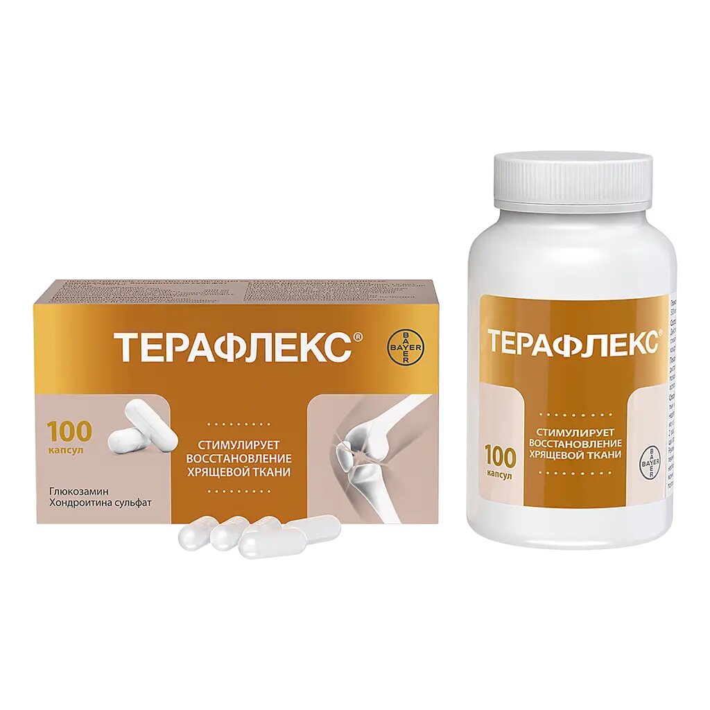 Терафлекс капсулы 500 мг+400 мг 100 шт