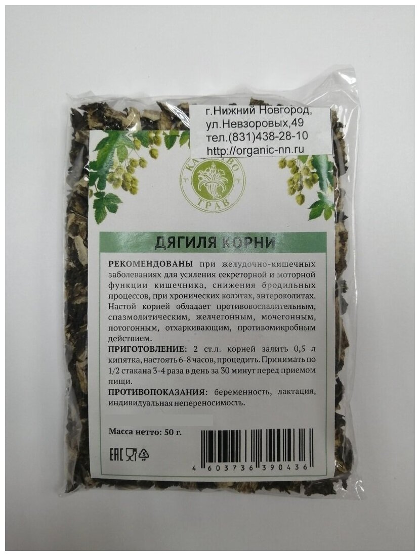 Дягиль лекарственный корень 50 г Качество трав (Archangelica officinalis (Moench) Hoffm
