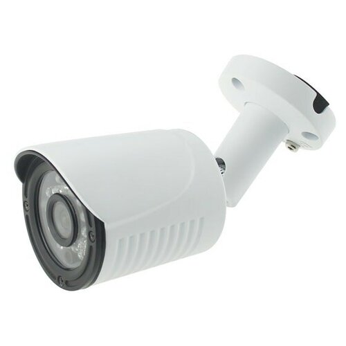 ICF24IR-2 28 IP видеокамера 2Mp Altcam 350000₽