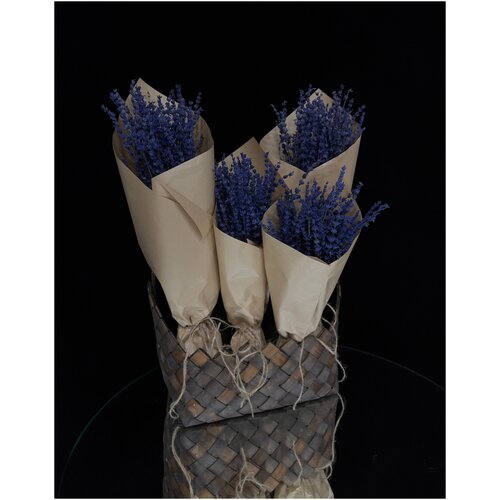 Лаванда стабилизированная