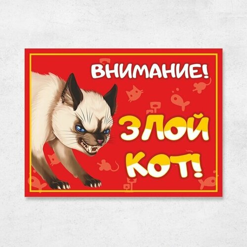 Табличка "Внимание, злой кот", 27х20 см, ПВХ