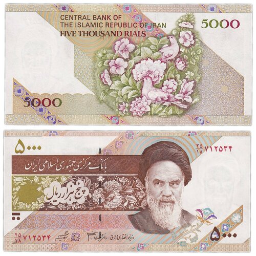 Иран 5000 риалов 1993 иран 5000 риалов nd 1993 2009 гг 3