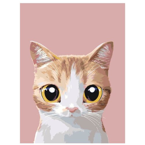 Картина по номерам, Живопись по номерам, 60 x 80, A568, котёнок, большие глаза, розовый фон, животное картина по номерам живопись по номерам 60 x 80 a566 рыжий котёнок зелёные глаза бежевый фон животное