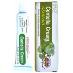 Мазь для тела высокоэффективная с экстрактом центеллы азиатской Abhaibhubejhr Centella Cream 10 гр - изображение