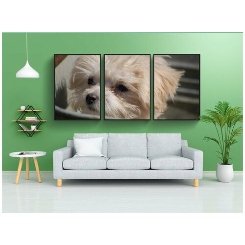 фото Набор модулных постеров для интерьера "щенок, животное, собака" 60x90 см. в тубусе, без рамки lotsprints