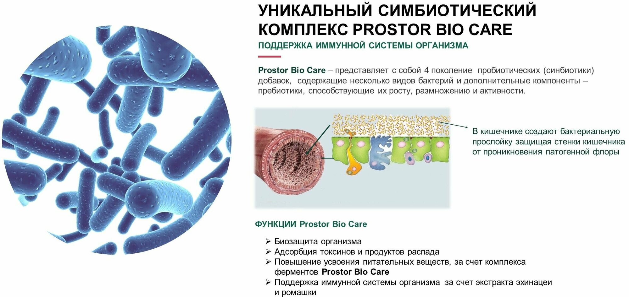 Сухой корм для взрослых кошек Наш рацион полнорационный, лосось 0,4 кг - фотография № 3