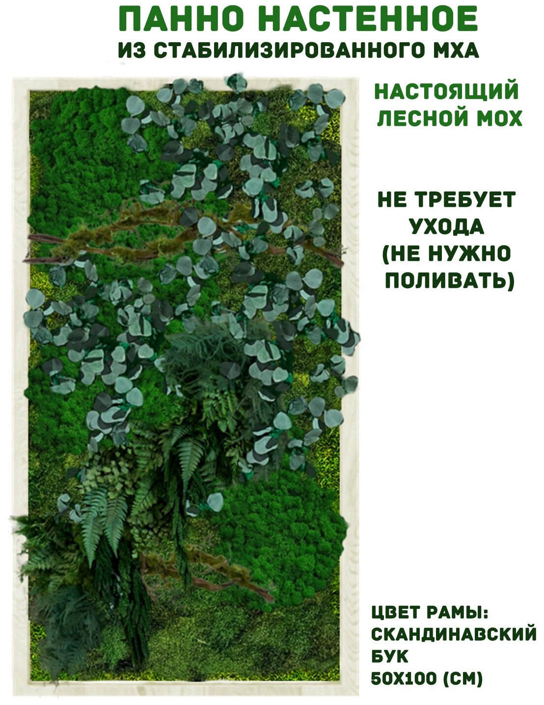 Панно из стабилизированно мха GardenGo в рамке цвета скандинавский бук, 50х100 см, цвет мха зеленый