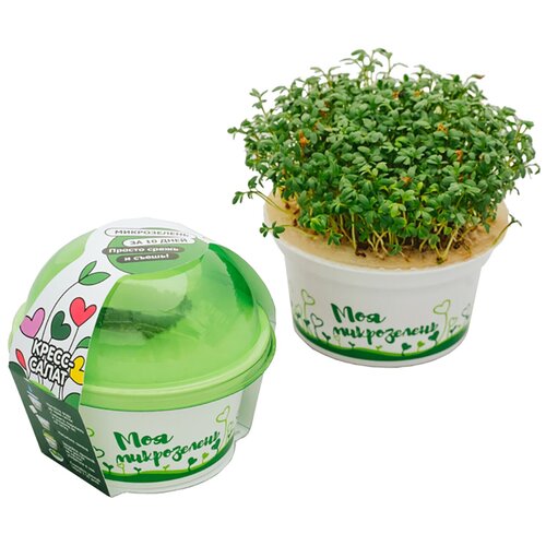 Набор для выращивания "Моя микрозелень" кресс-салат