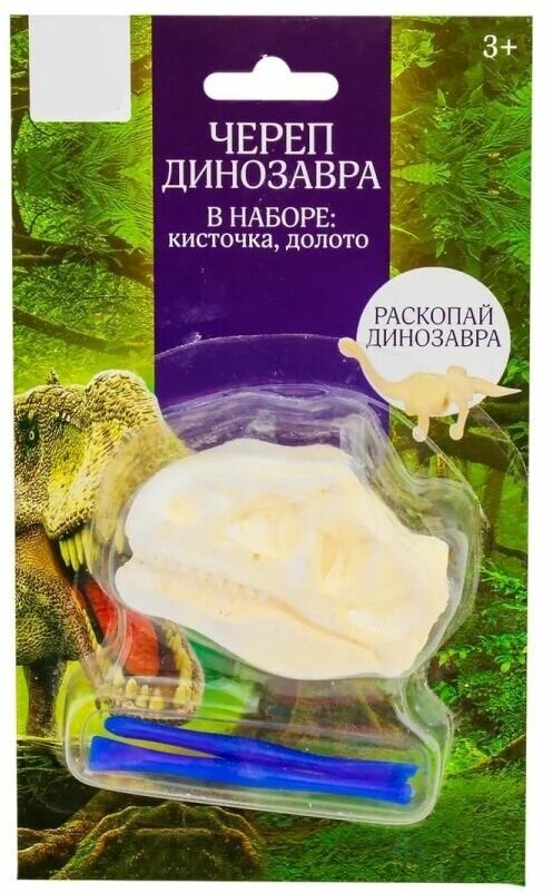 Набор для раскопок в виде черепа динозавра