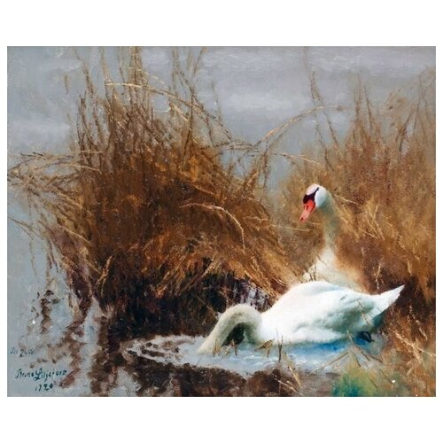 Репродукция на холсте Лебеди на берегу (Swans on shore0 Лильефорс Бруно 49см. x 40см.