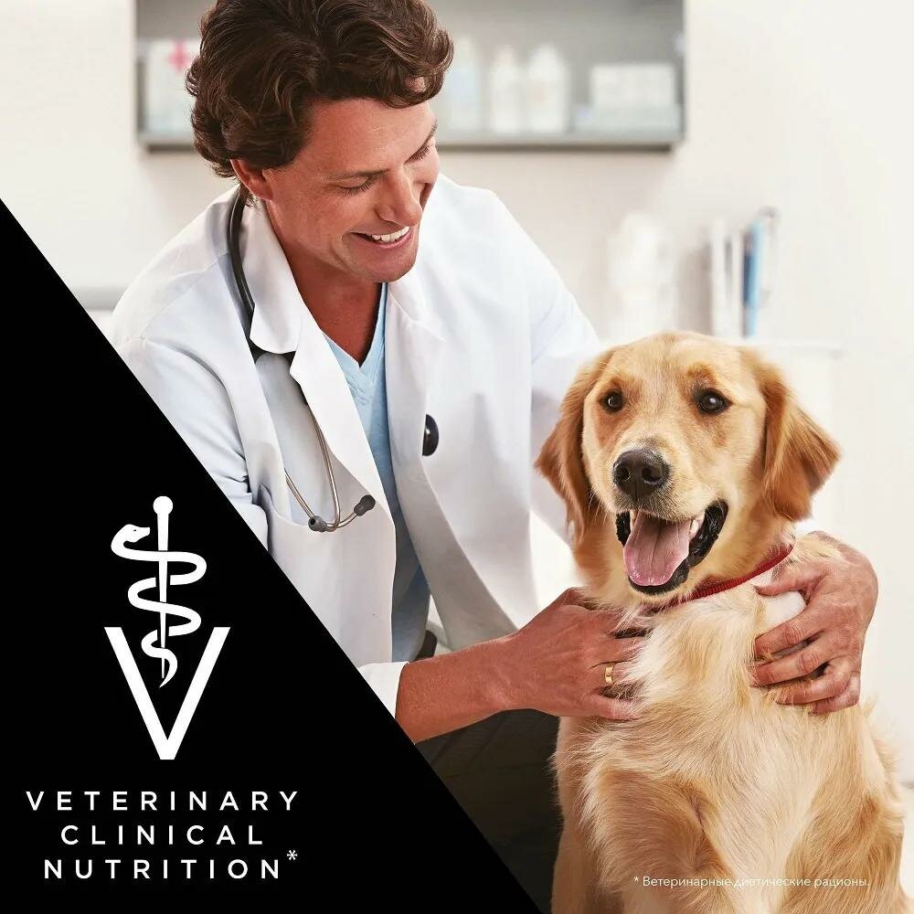 Pro Plan Veterinary Diets DRM Dermatosis корм для собак при дерматозах (Диетический, 1,5 кг.) Purina Pro Plan Veterinary Diets - фото №13