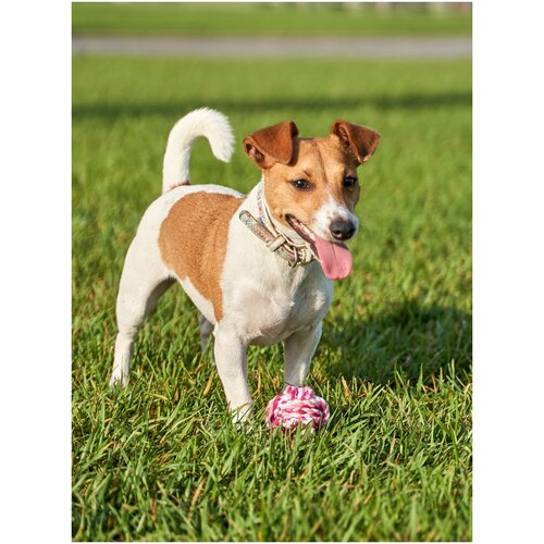 Игрушка плетёный мяч Japan Premium Pet для собак с интригующим ароматом и функцией чистки зубов, вкус клубника, размер S