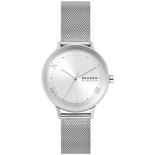 Наручные часы Skagen SKW2874