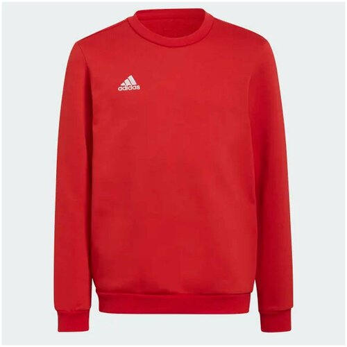 Свитшот adidas, размер 164, красный