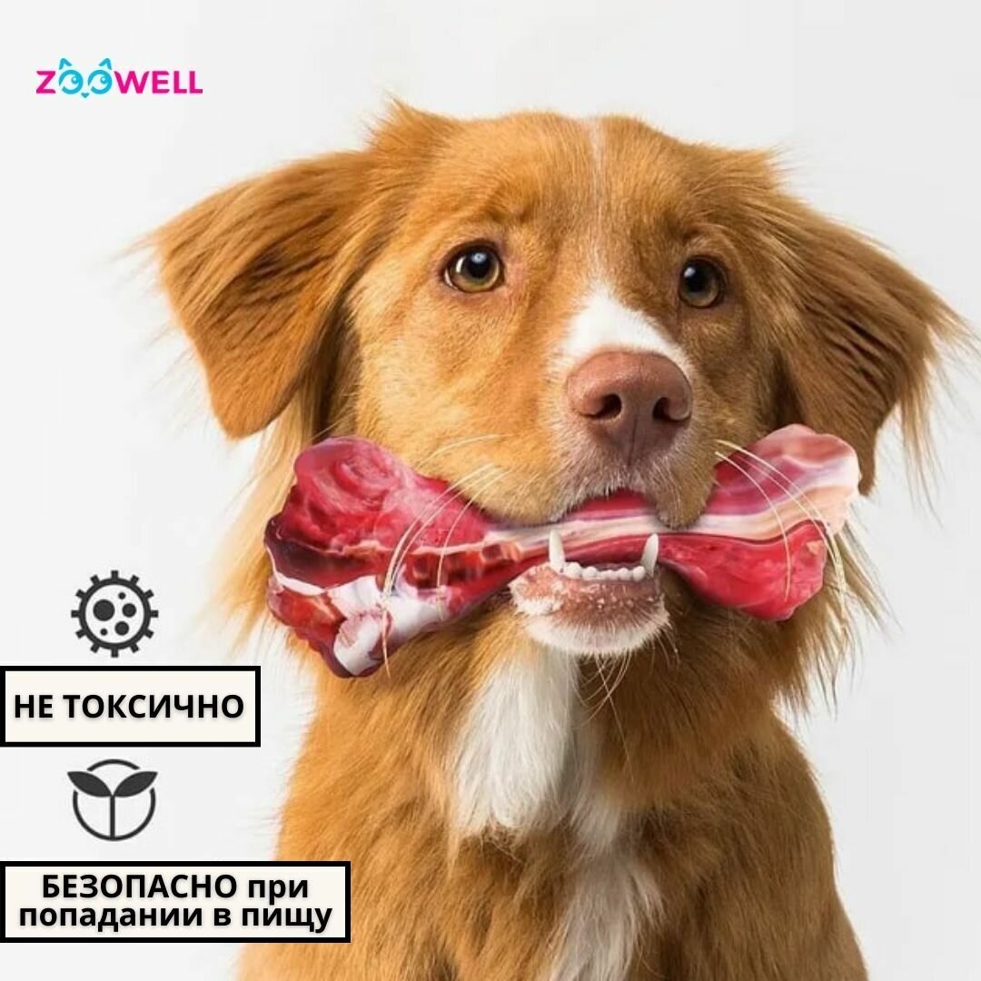 Игрушка для собак ZooWell Play Eco-friendly, косточка-кусалка жевательная для зубов, красная - фотография № 3