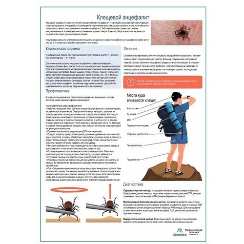 Клещевой энцефалит медицинский плакат А1+/A2+ (глянцевая фотобумага от 200 г/кв. м, размер A2+)