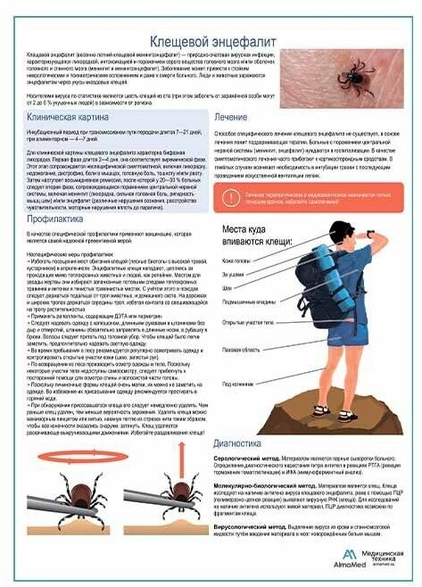 Клещевой энцефалит медицинский плакат А1+/A2+ (глянцевая фотобумага от 200 г/кв. м, размер A2+)